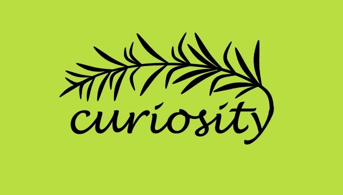 Curiosity Logo