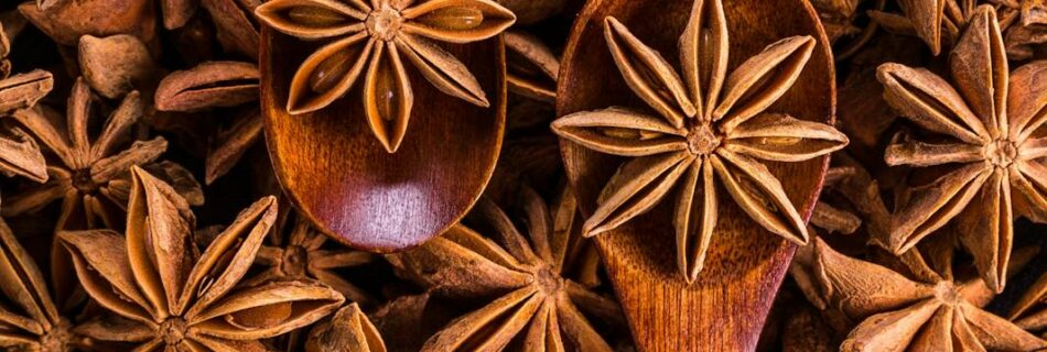 directly above shot of dried decoration