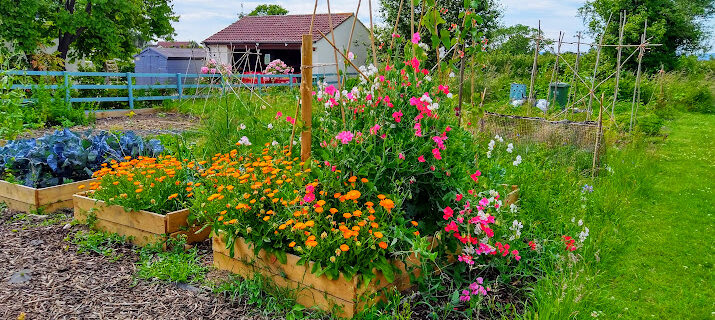 Allotment